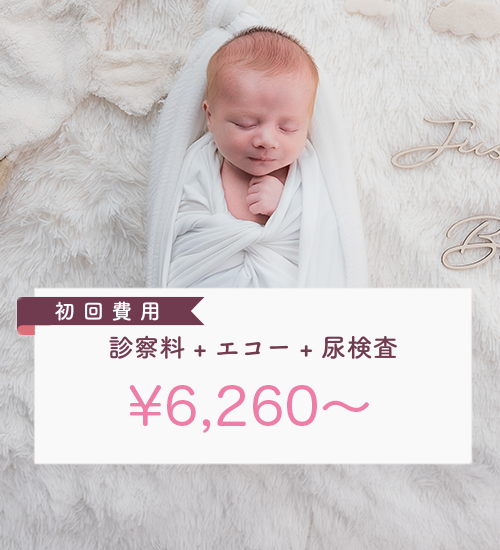 費用のご案内